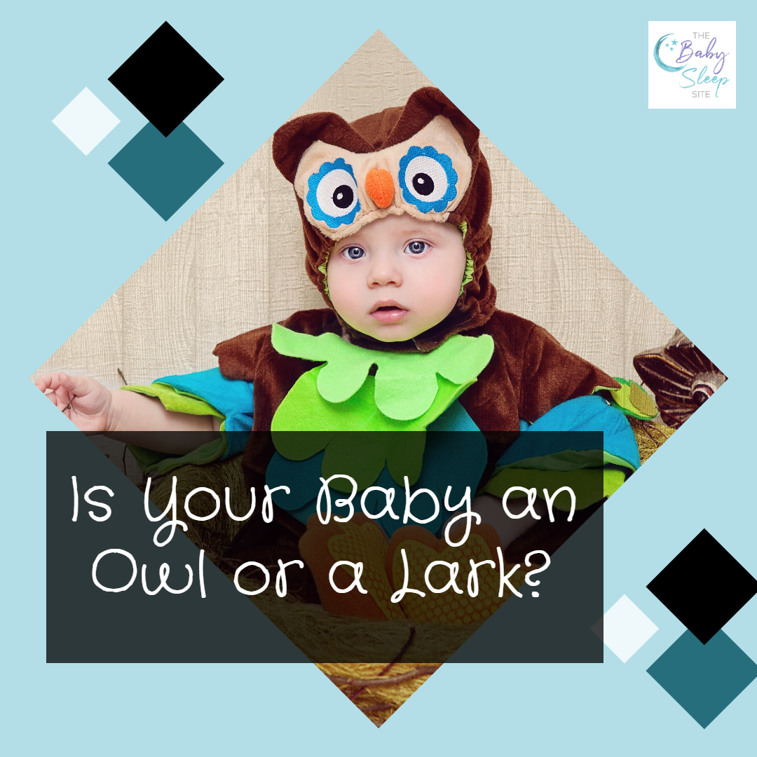 Is Your Baby an Owl or a Lark?