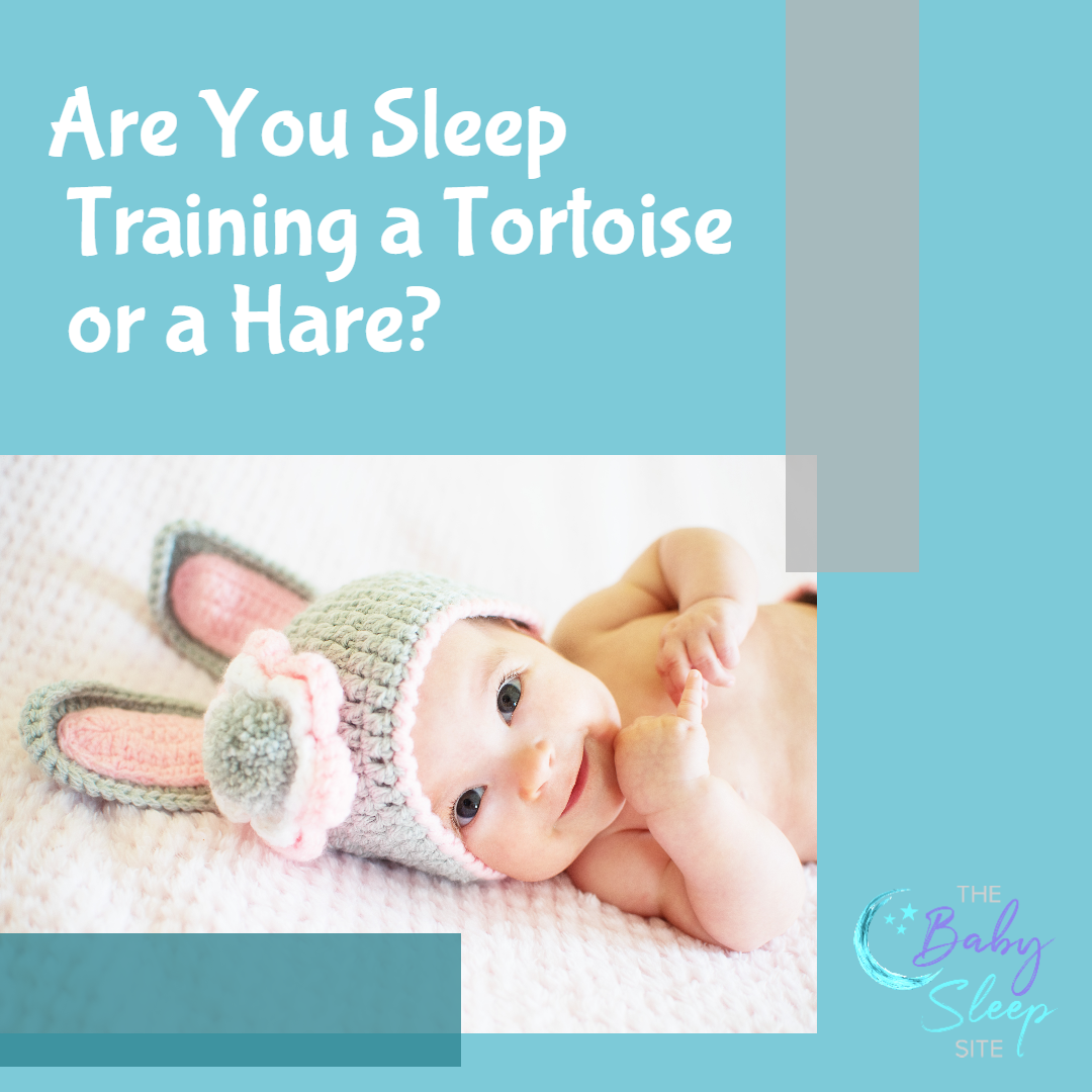 Are You Sleep Training a Tortoise or a Hare?