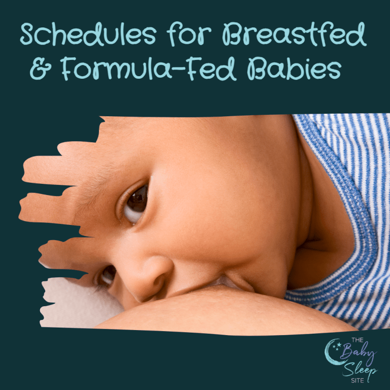 Schedules For Breastfeeding Formula Fed Babies The Baby Sleep Site schedules-for-breastfeeding-formula-fed-babies-the-baby-sleep-site