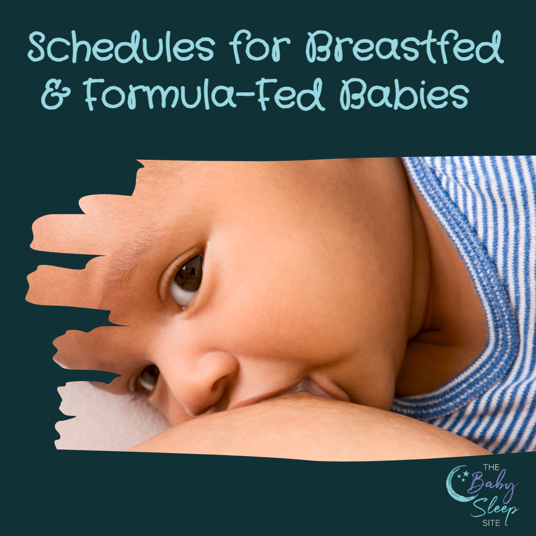 Schedules for Breastfeeding and Formula-Fed Babies