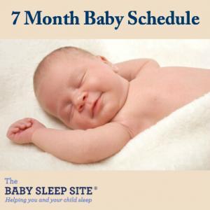 7 Month Old Baby Schedule