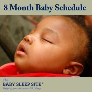 8 Month Old Baby Schedule