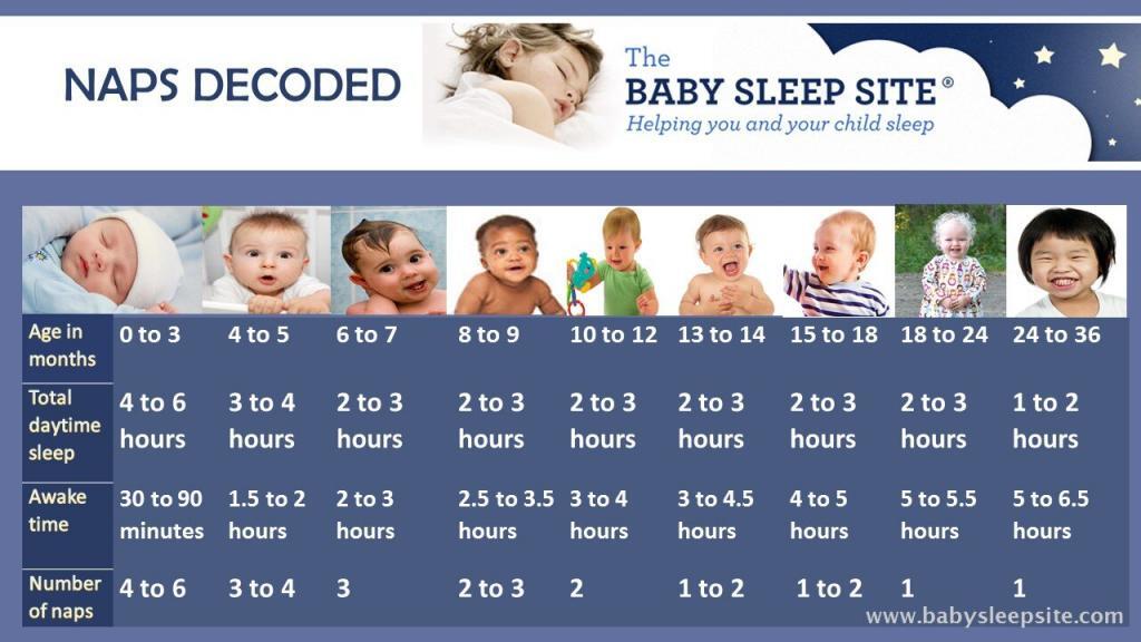 Baby Nap Chart How Many Naps And How Long Should They Be The Baby Baby Nap Chart How Many Naps And How Long Should They Be The Baby