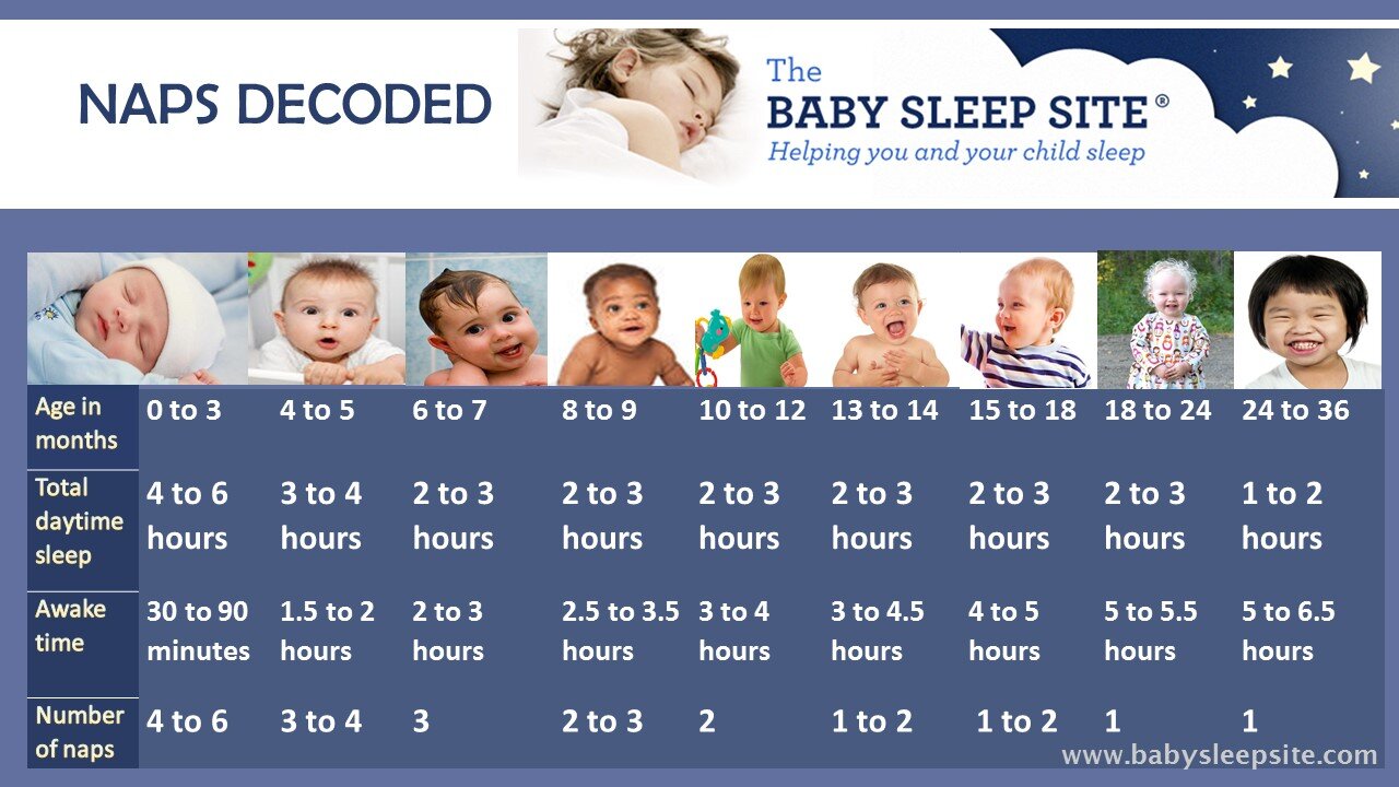 Baby Nap Chart: How Many Naps and How Long Should They Be?