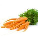 Homemade Baby Food Recipe - Carrots