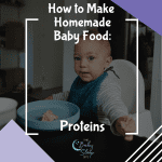 How To Make Homemade Baby Food: Proteins