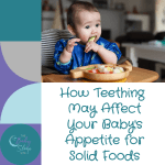 How Teething May Affect Your Baby's Appetite for Solid Foods