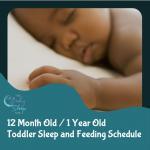 12 month old baby sleep schedule.