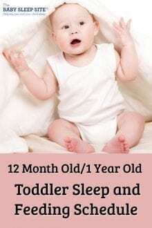 12 Month Old -1 Year Old Toddler Sleep and Feeding Schedule
