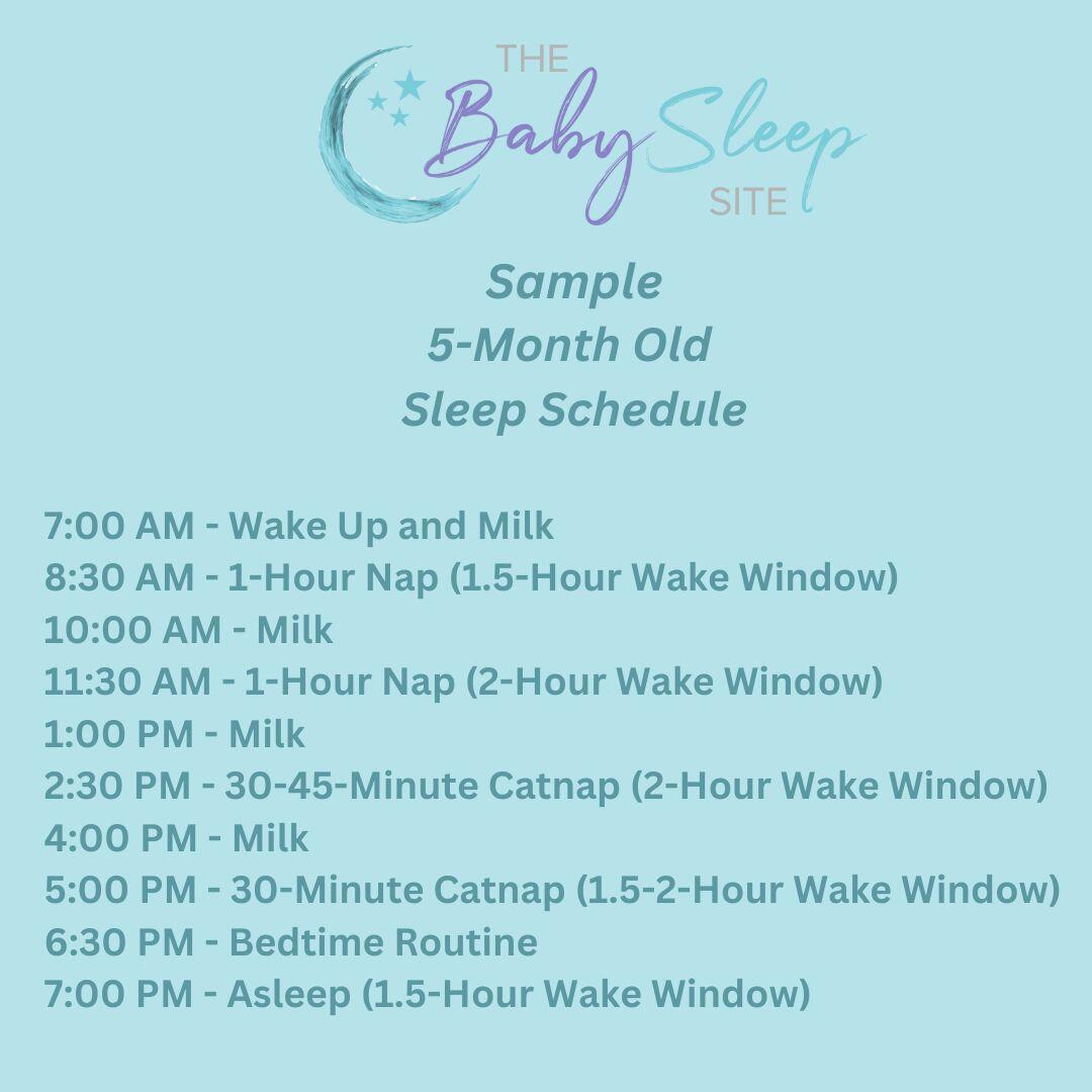 sample 5 month old sleep schedule with milk feedings to pin