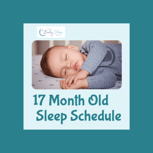 17 Month Old Sleep Schedule