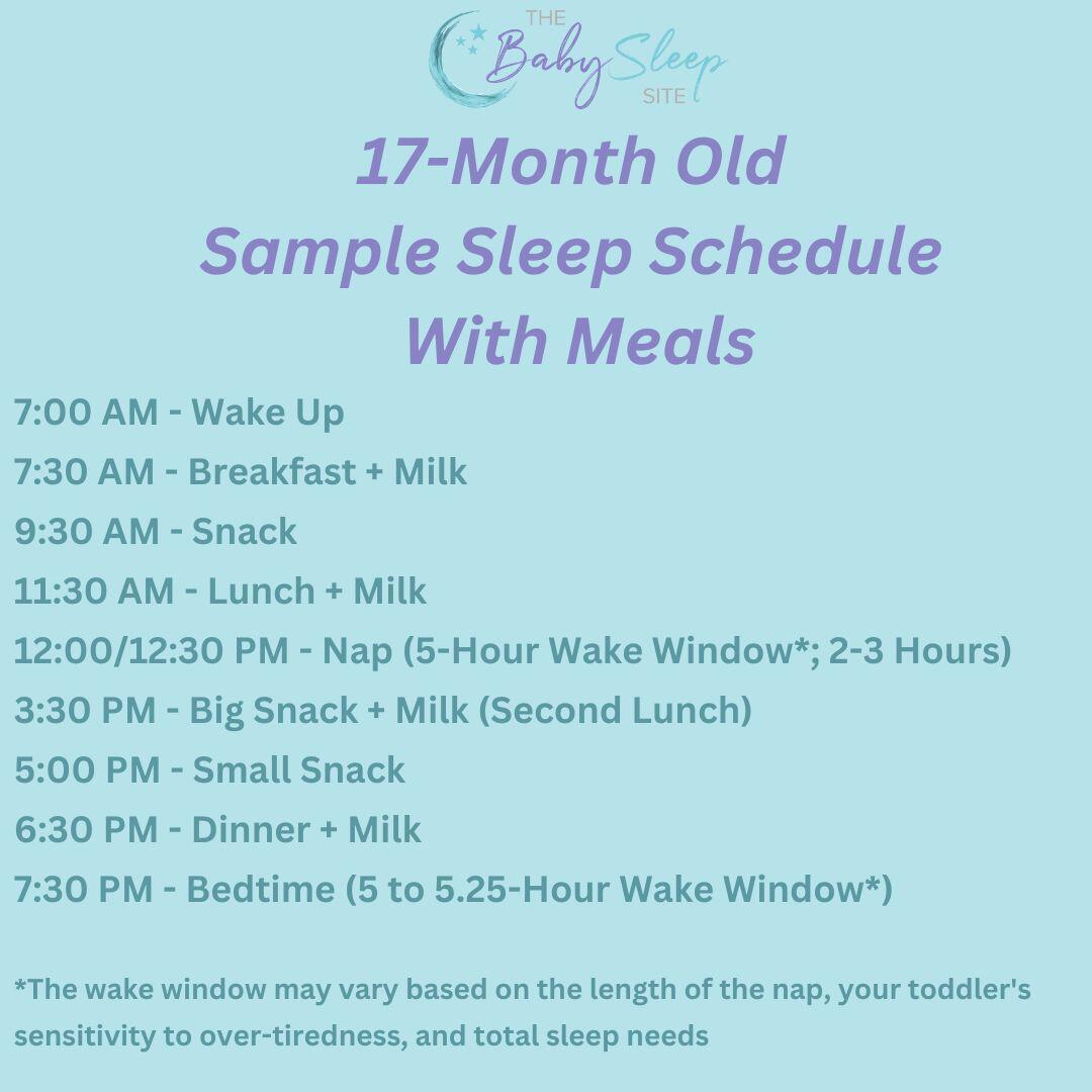 17 Month Sleep Schedule With Meals