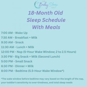 18 Month Old Sleep Schedule With Meals
