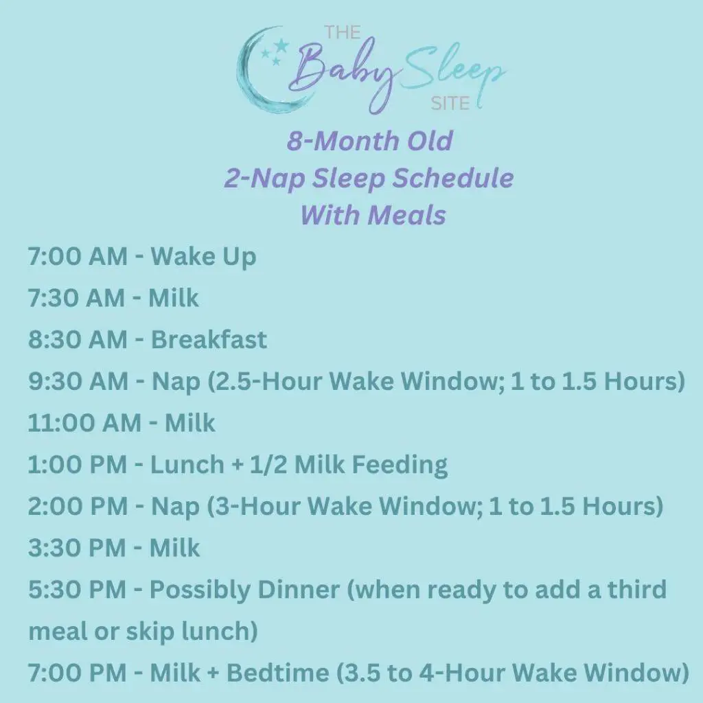 Download sample 2-nap schedule for an 8 month old with feedings