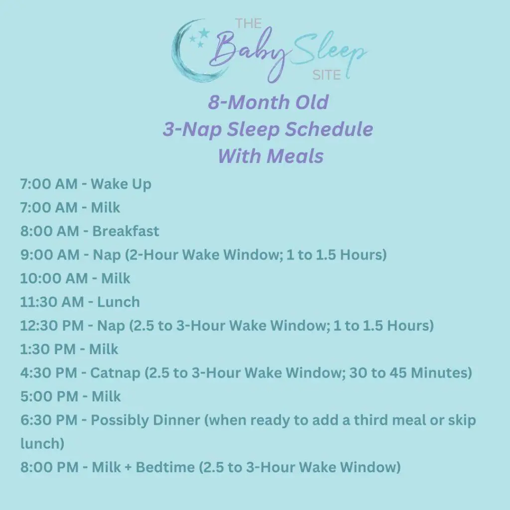 Download Sample 8 Month 3-Nap Schedule With Feedings