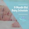 8 Month Old Baby Feeding & Sleep Schedule | Baby Sleep Site
