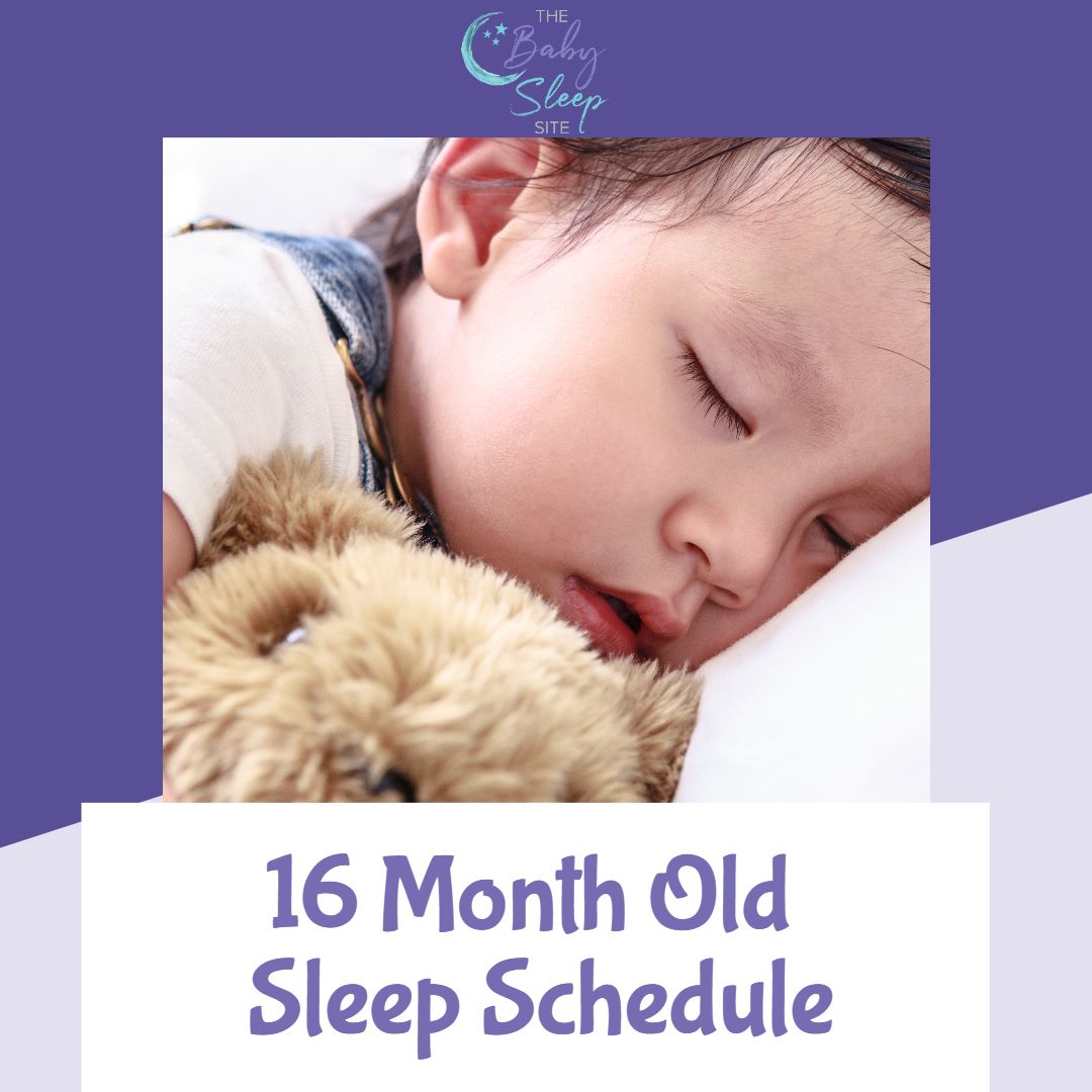 16 Month Old Sleep Schedule