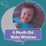 6 Month Old Wake Windows