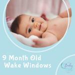 9 Month Old Wake Windows